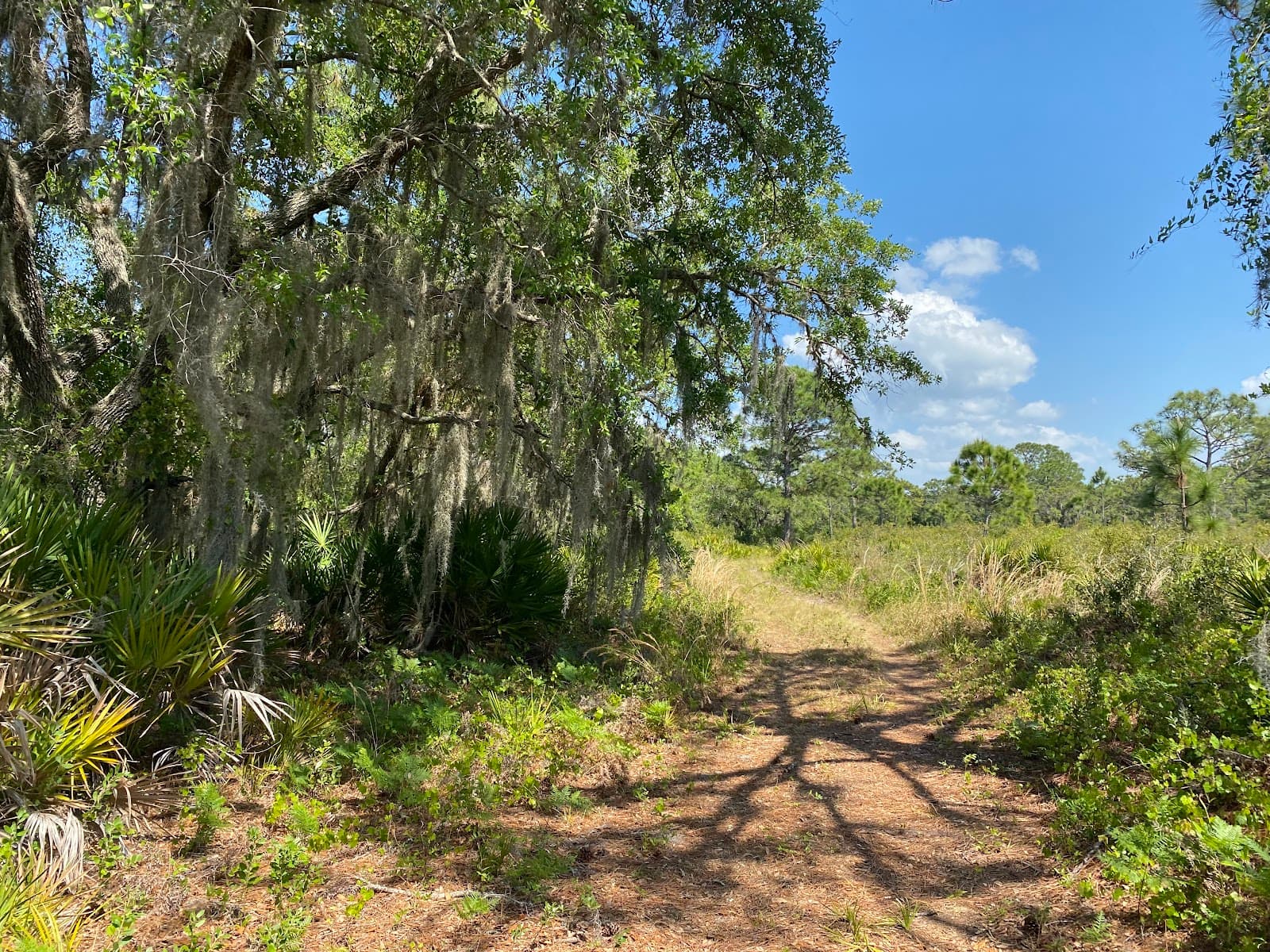 Curry Creek Preserve - Image 1