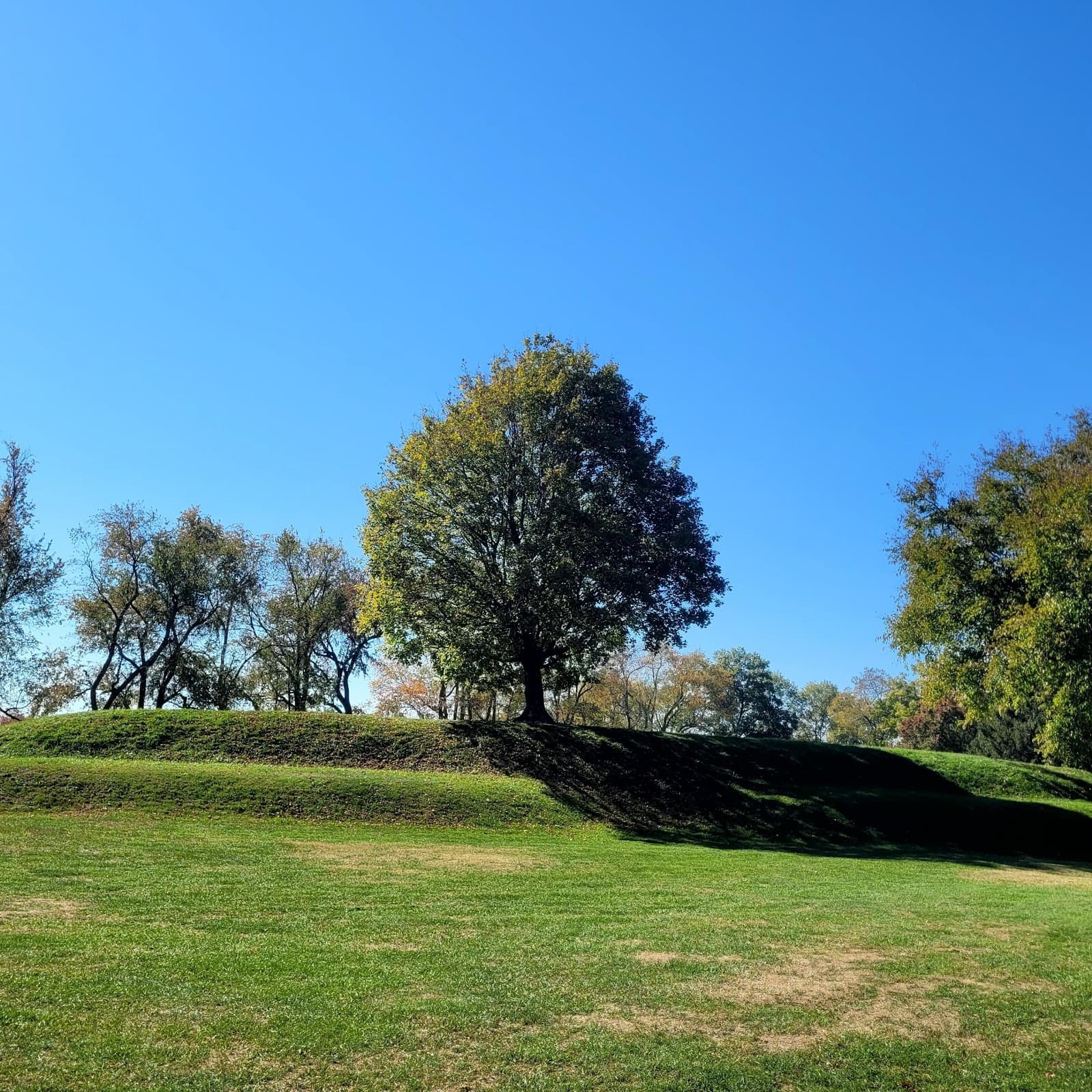 Octagon Earthworks - Image 1