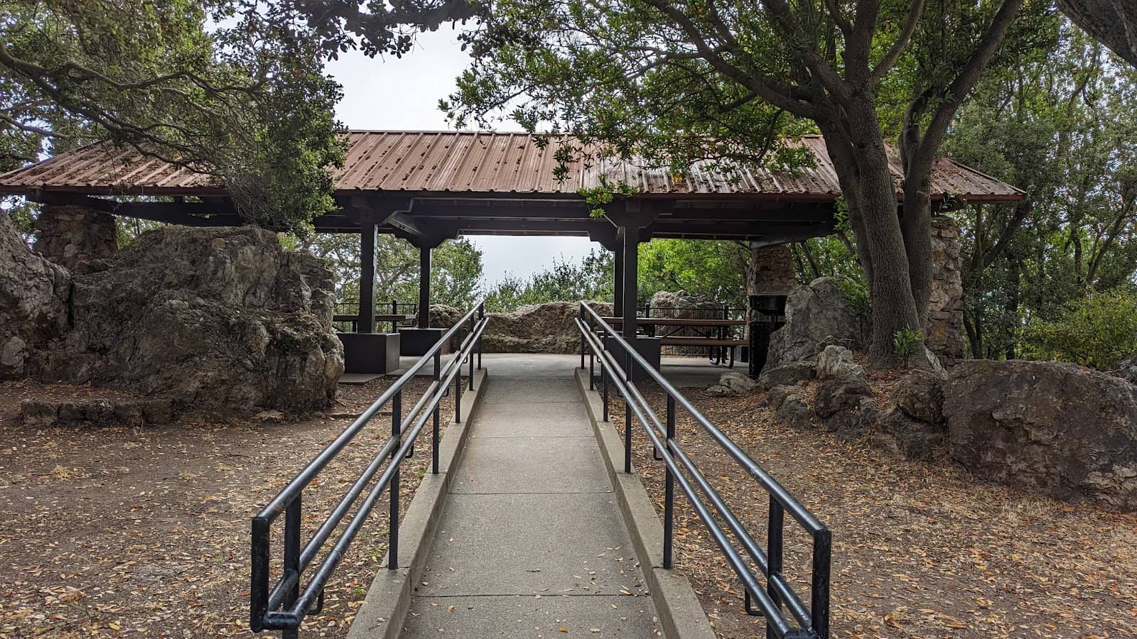 Community Dog Hangout