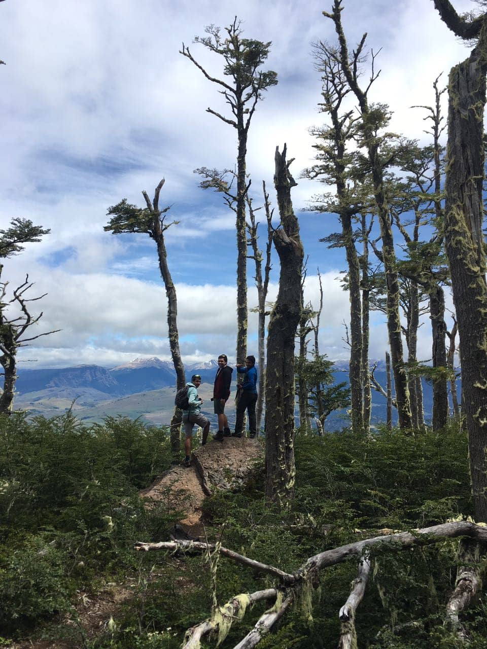 Patagonian Flora and Fauna