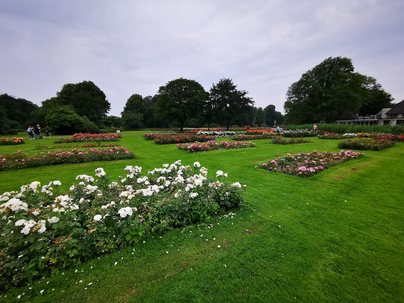 Westbroekpark Rosarium - Image 1