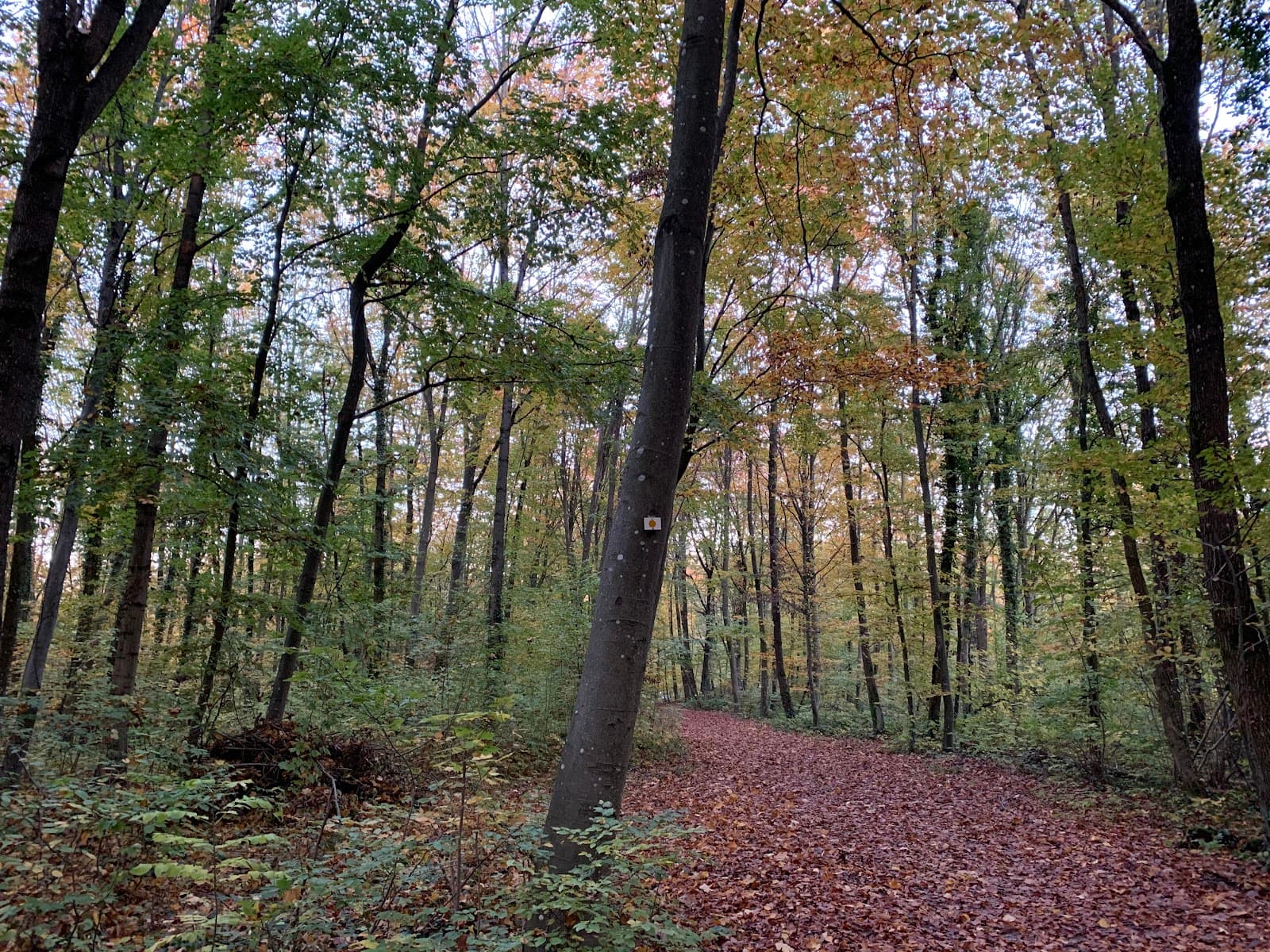 Rebberg District - Image 1