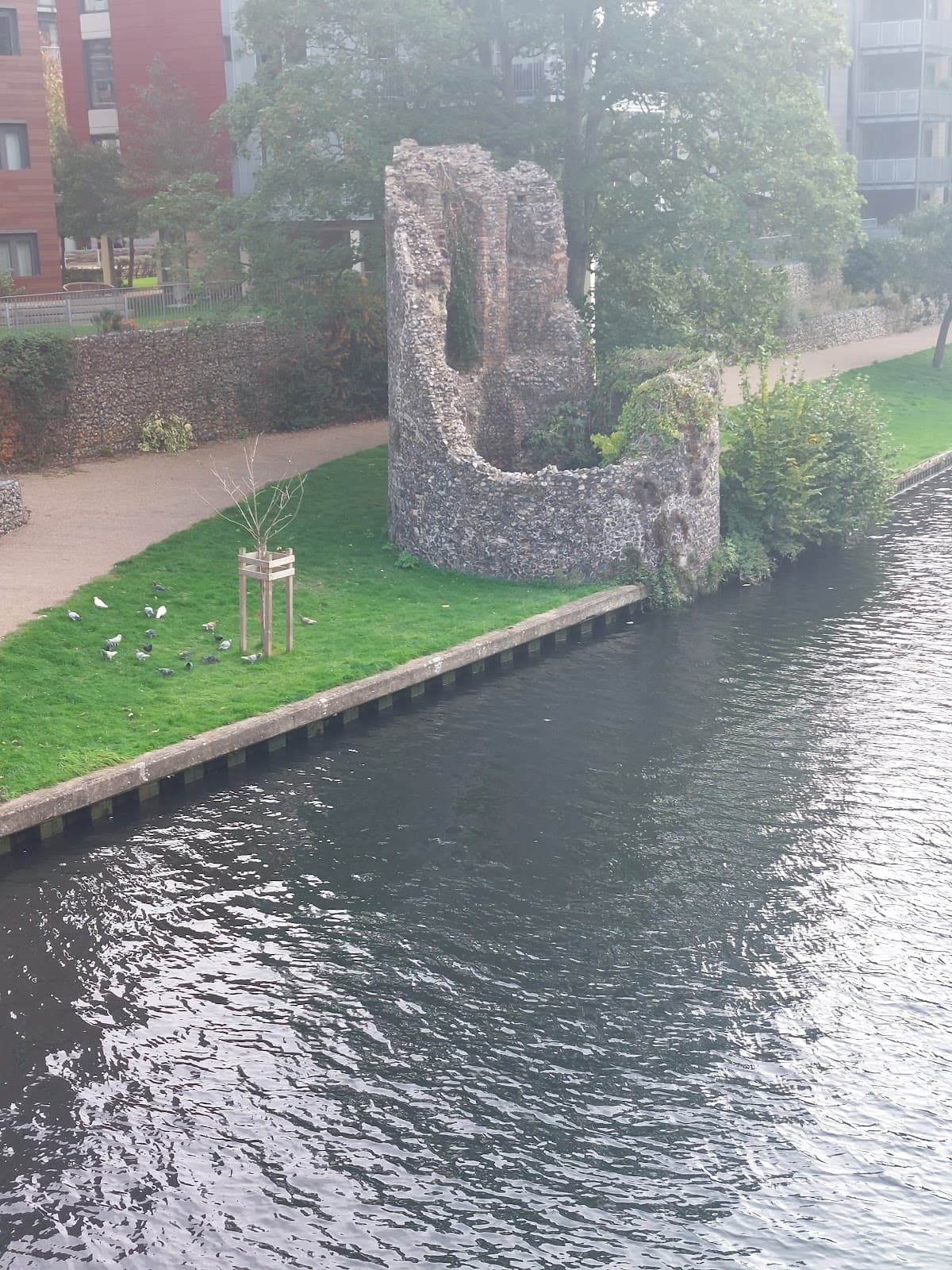 Carrow Bridge - Image 1