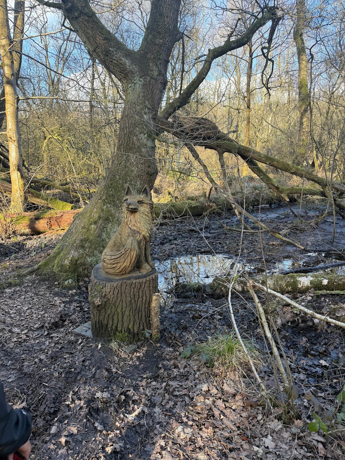 Hatchmere Nature Reserve - Image 1