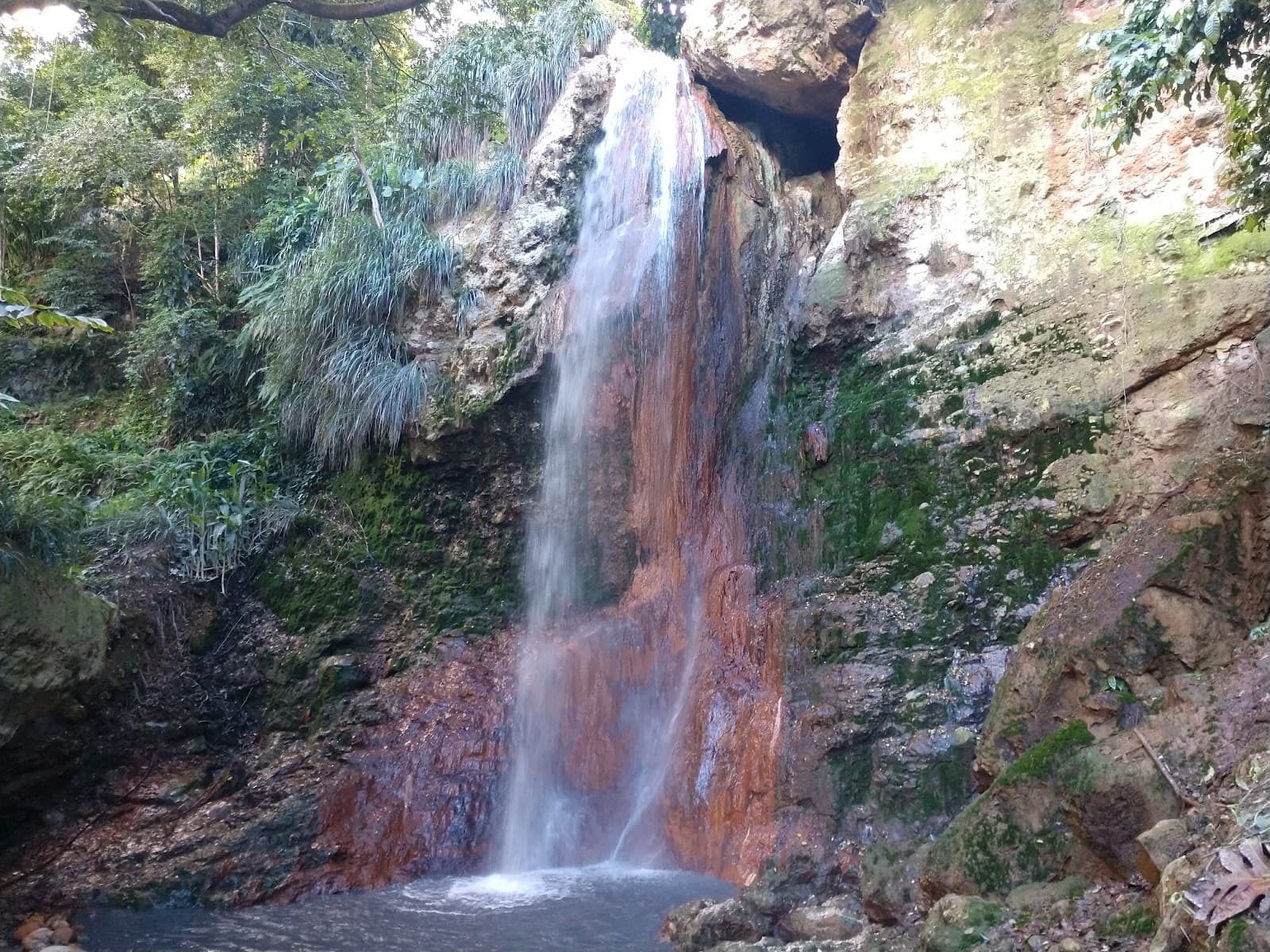 Superman's Flight Reef - Image 1