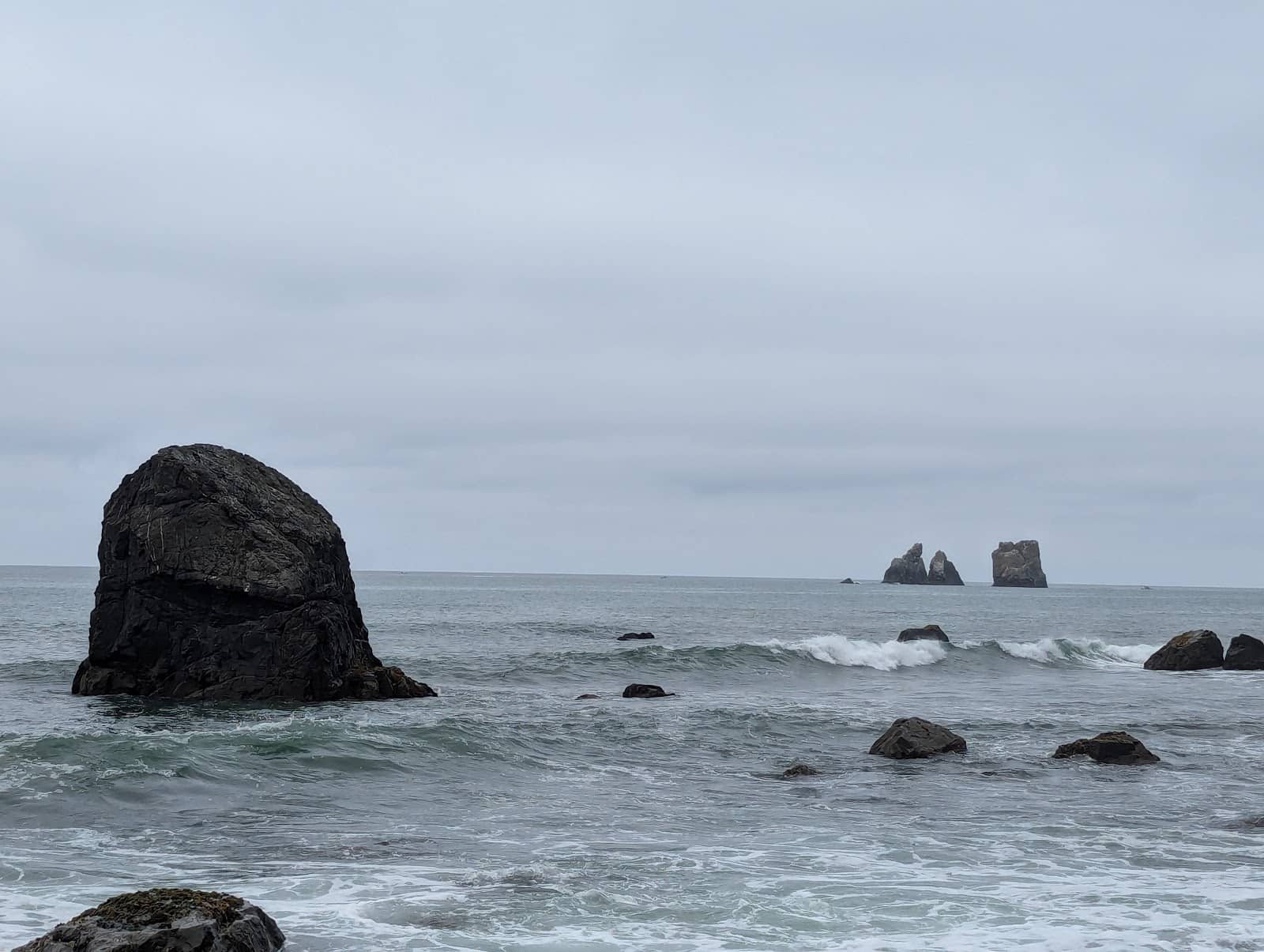 Diverse Ecosystem Transition