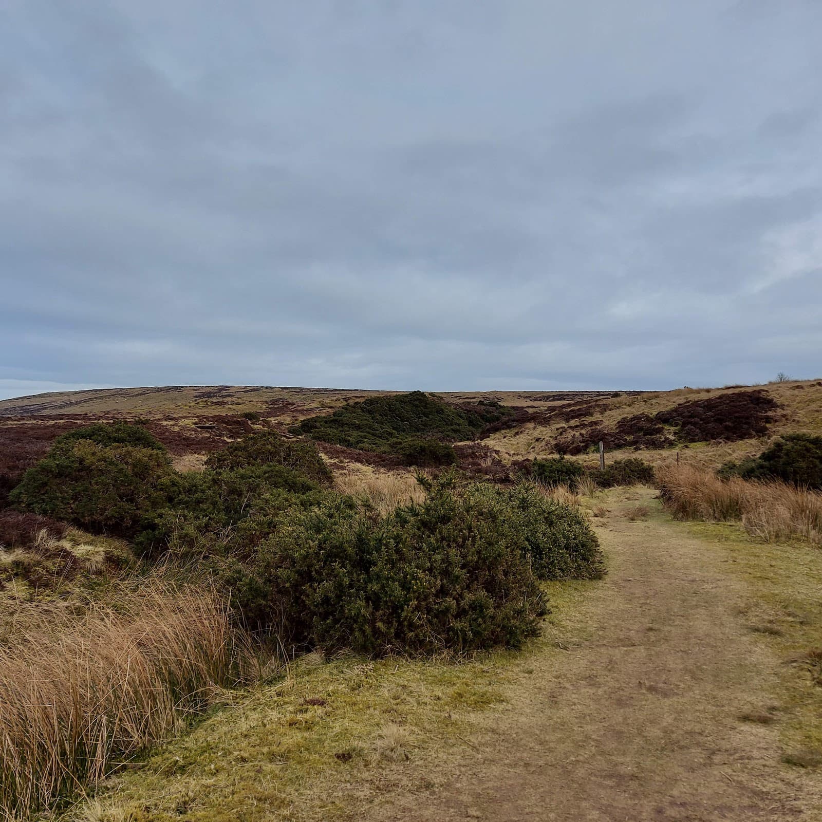 Kelly Cut Trail - Image 1