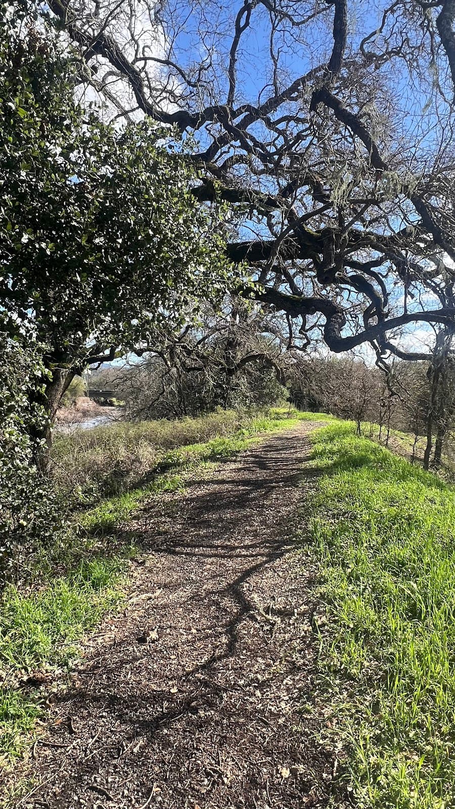 Napa River Ecological Reserve Calistoga - Image 1