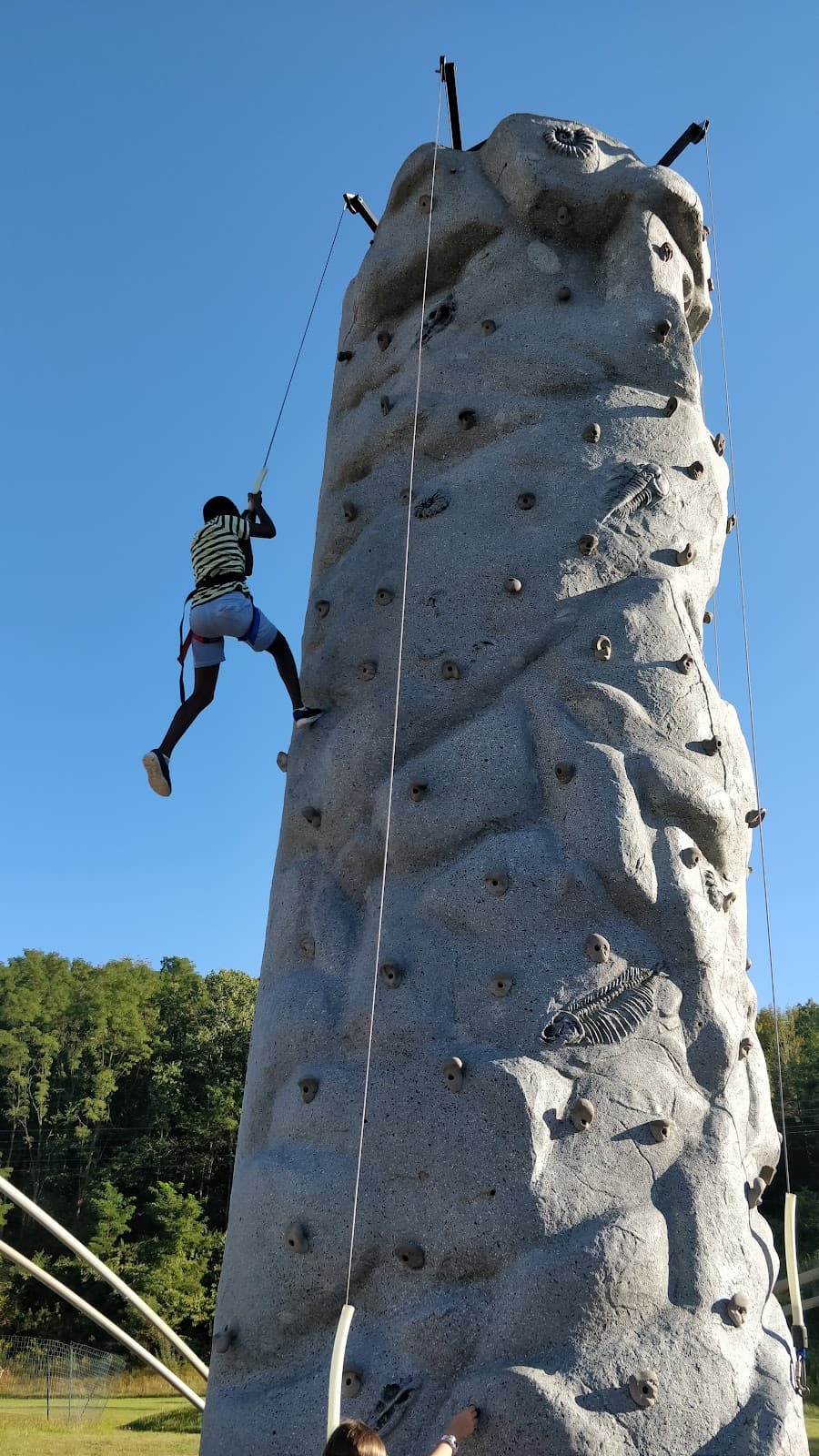 Chuckster's Vestal - Image 1