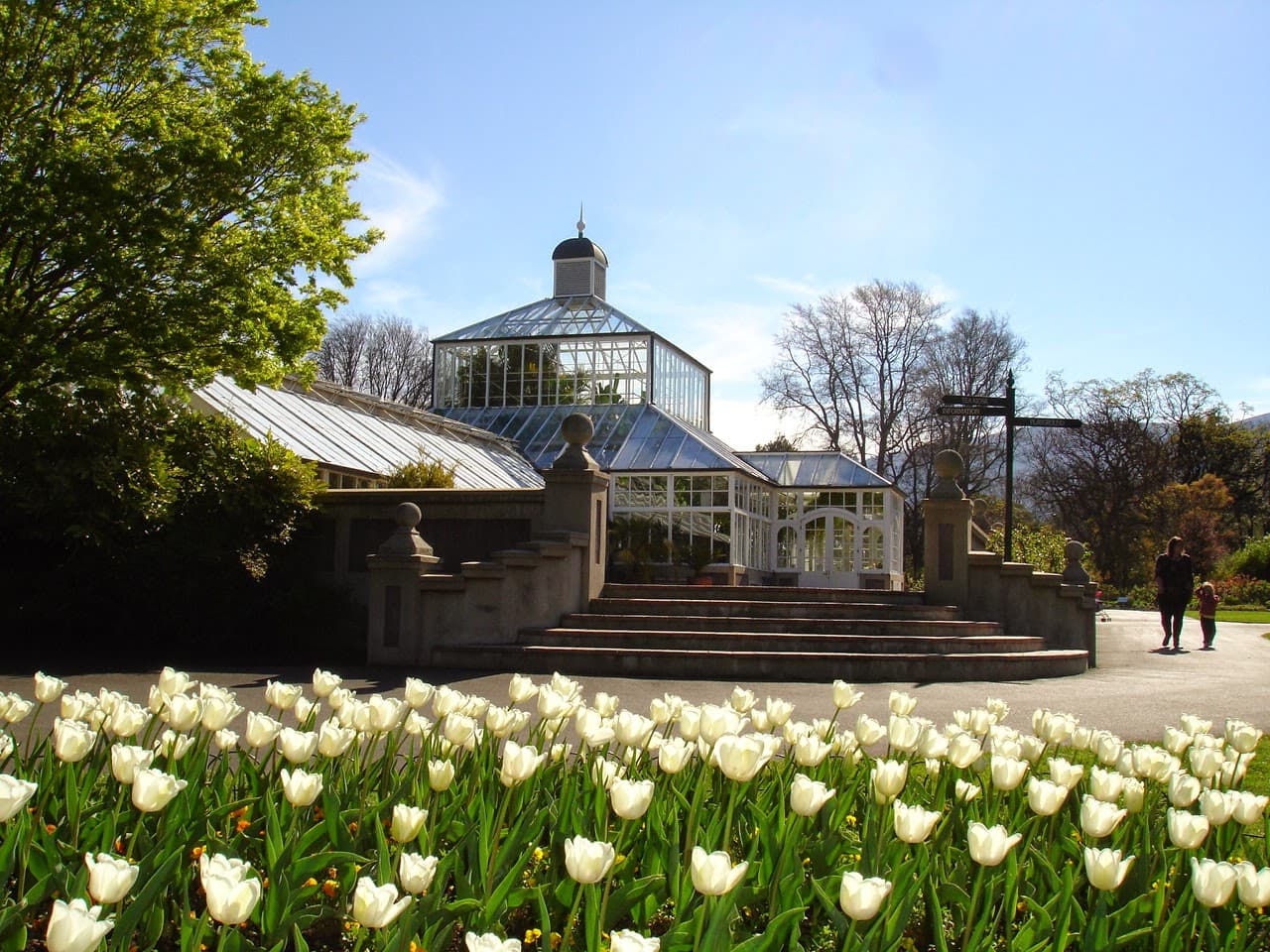 Dunedin Botanic Garden - Image 1