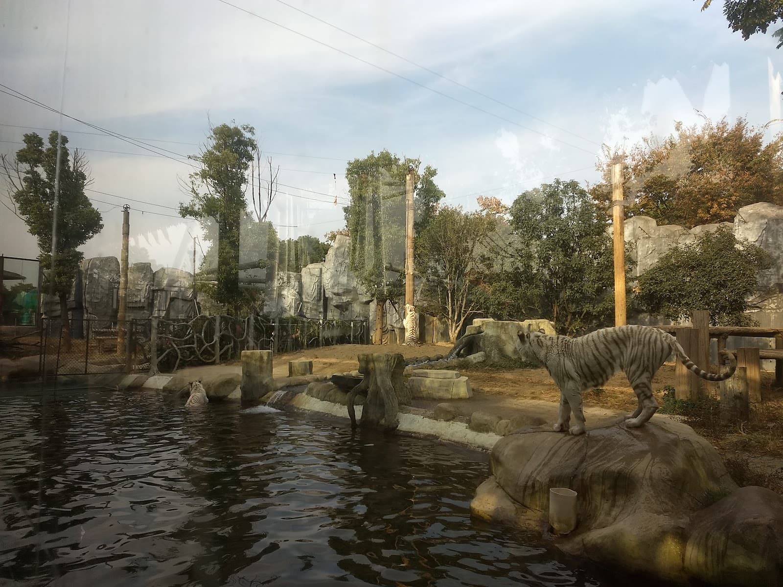 Yancheng Wildlife Park - Image 1