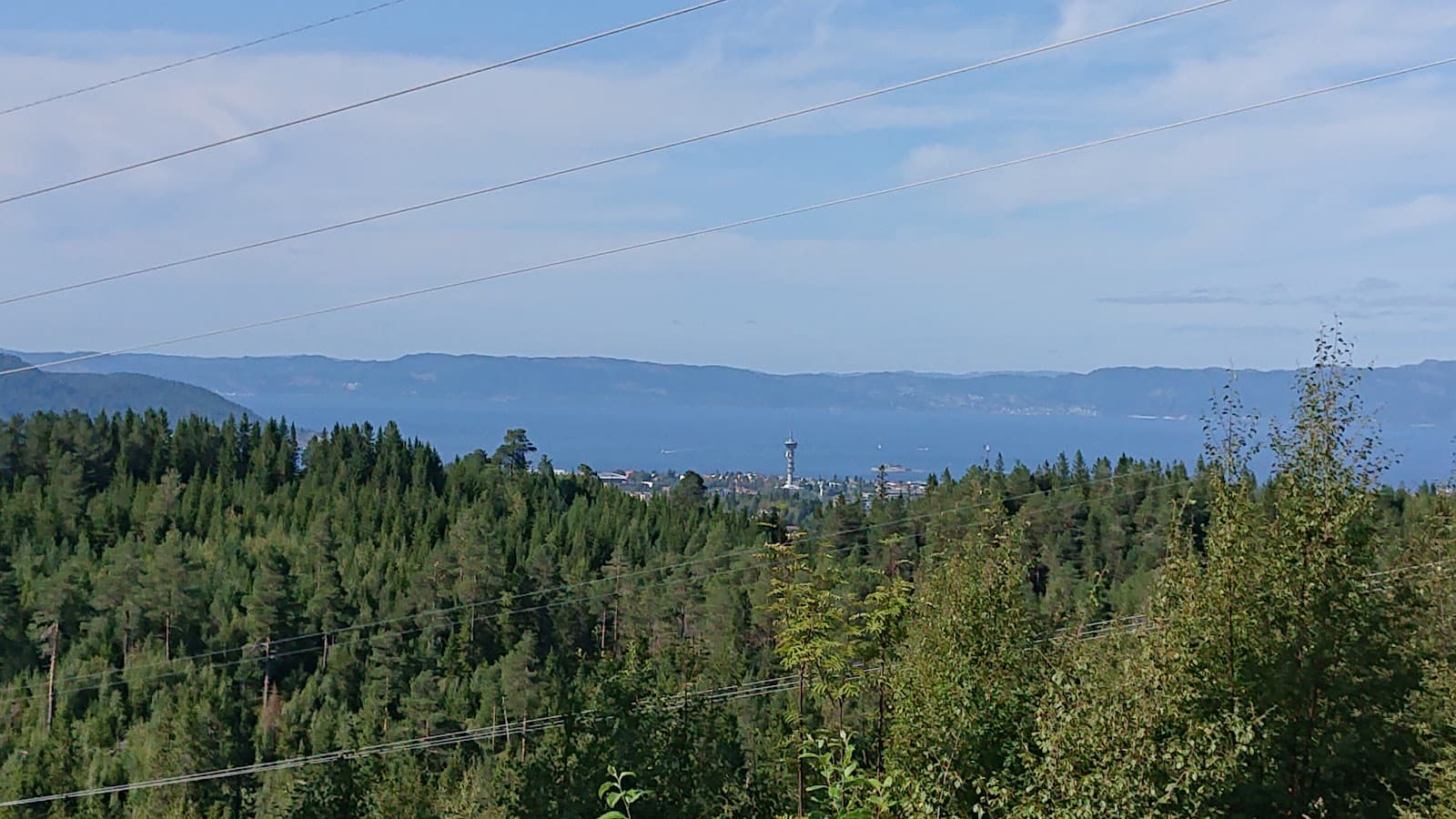 Estenstadmarka Trondheim - Image 1