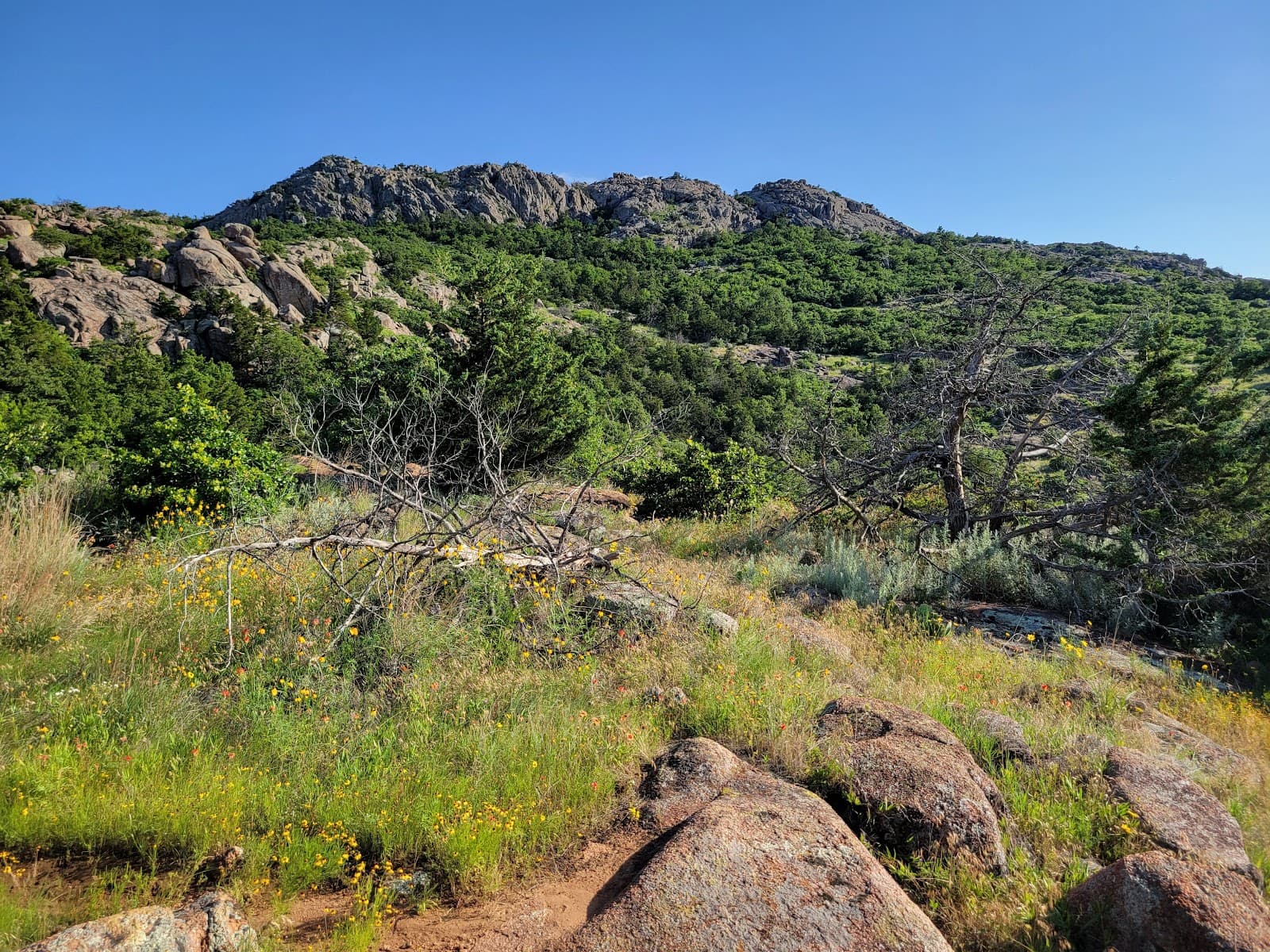 Elk Mountain Trail - Image 1