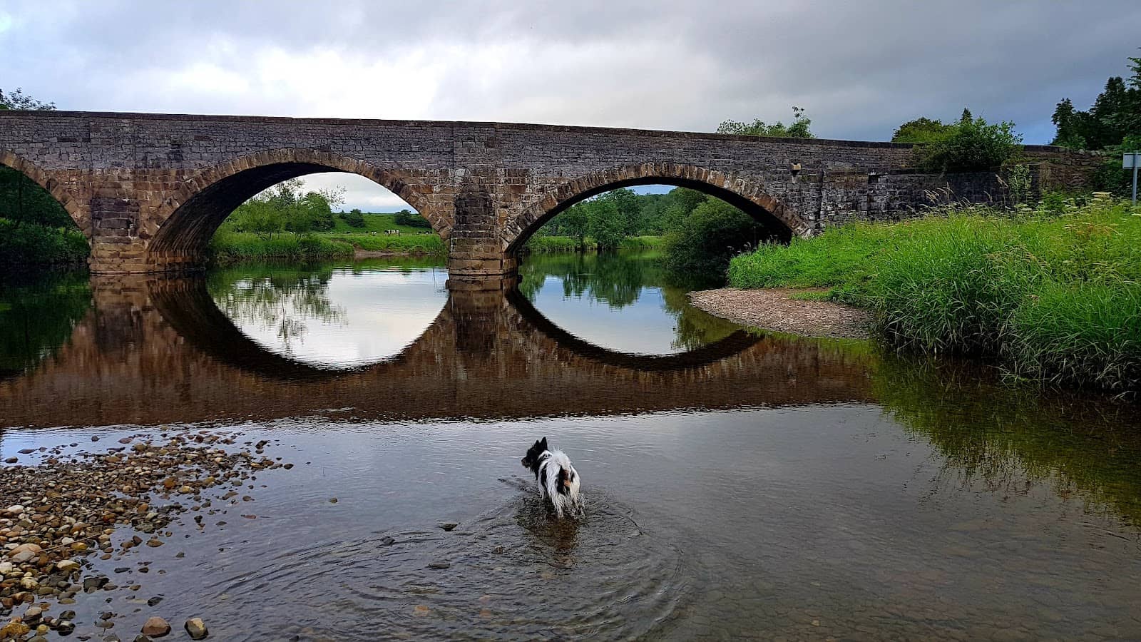 Woodland & Meadow Scenery