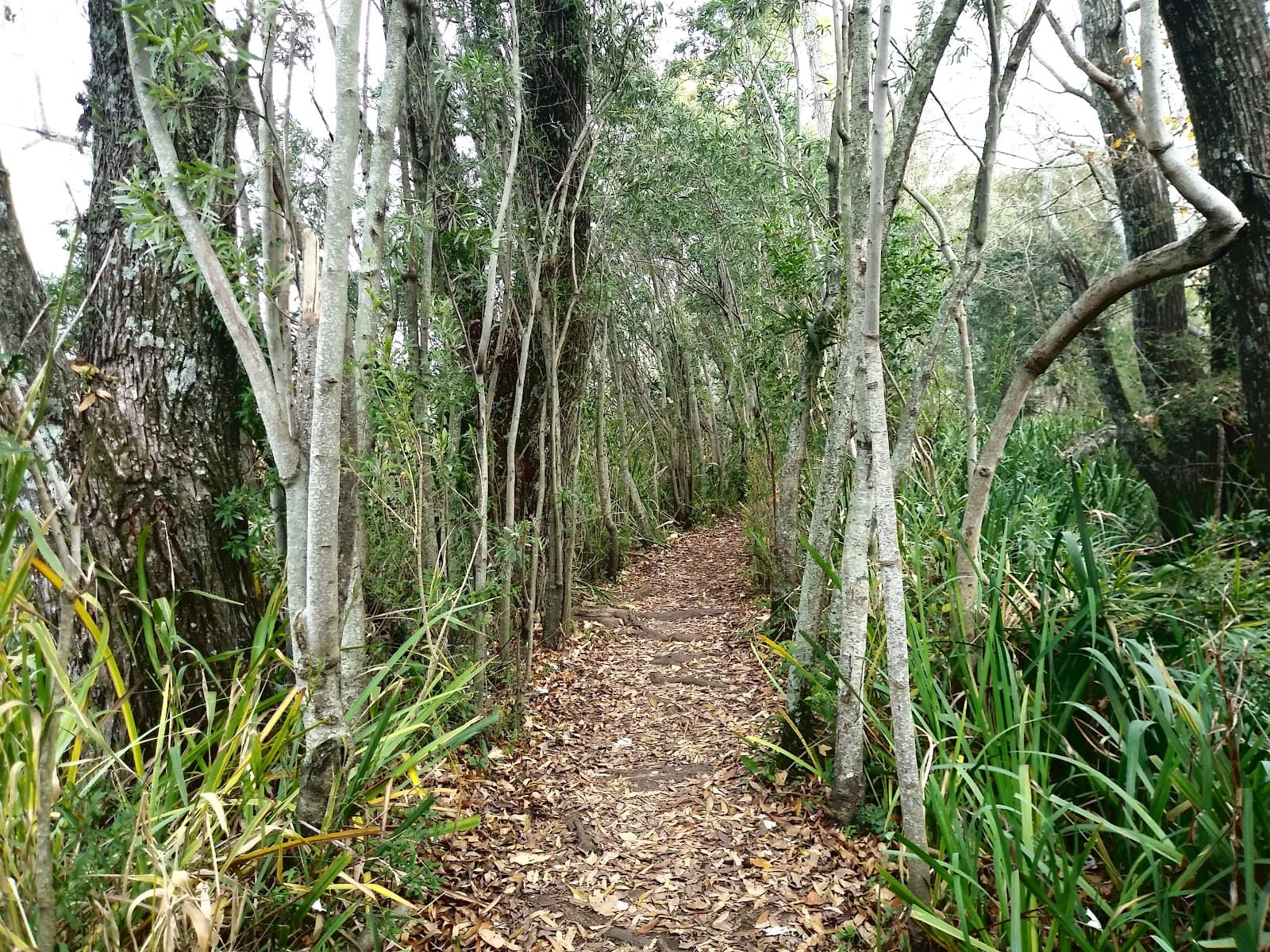 Ribera Norte Nature Reserve - Image 1