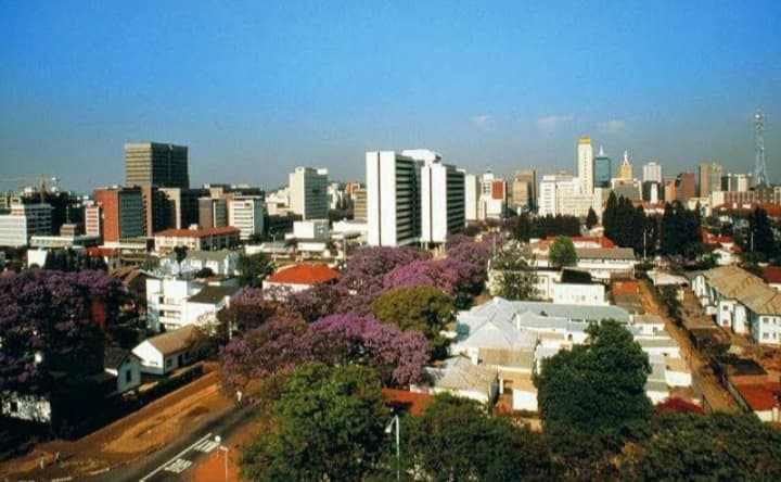 CBD - Image 1