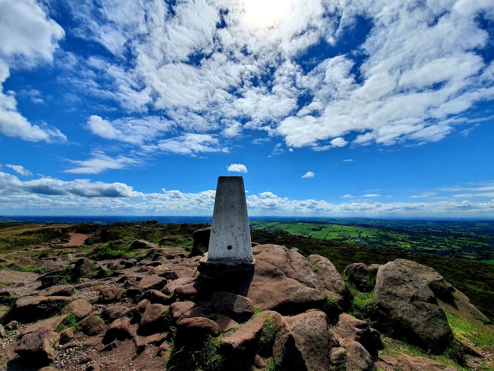 The Roaches - Image 1