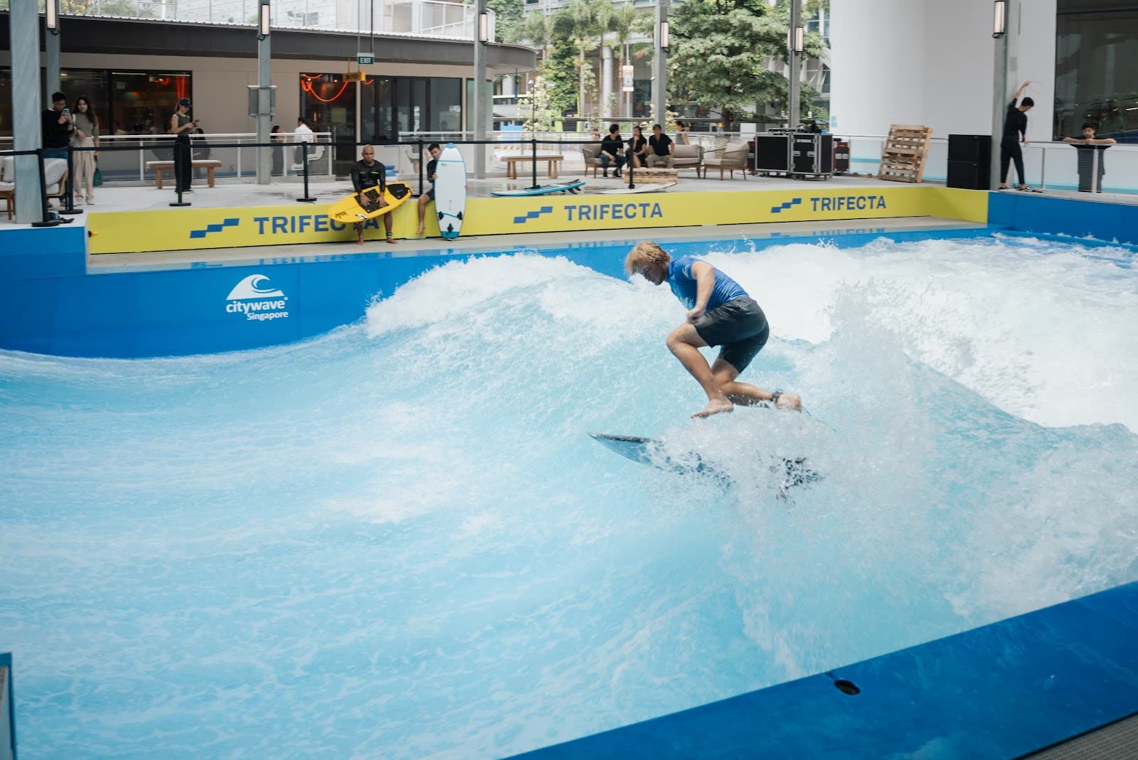 Trifecta Orchard - Image 1