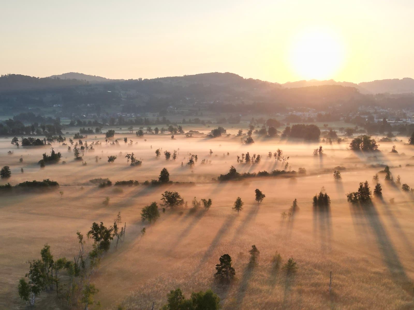 Pfäffikersee & Robenhausen - Image 1