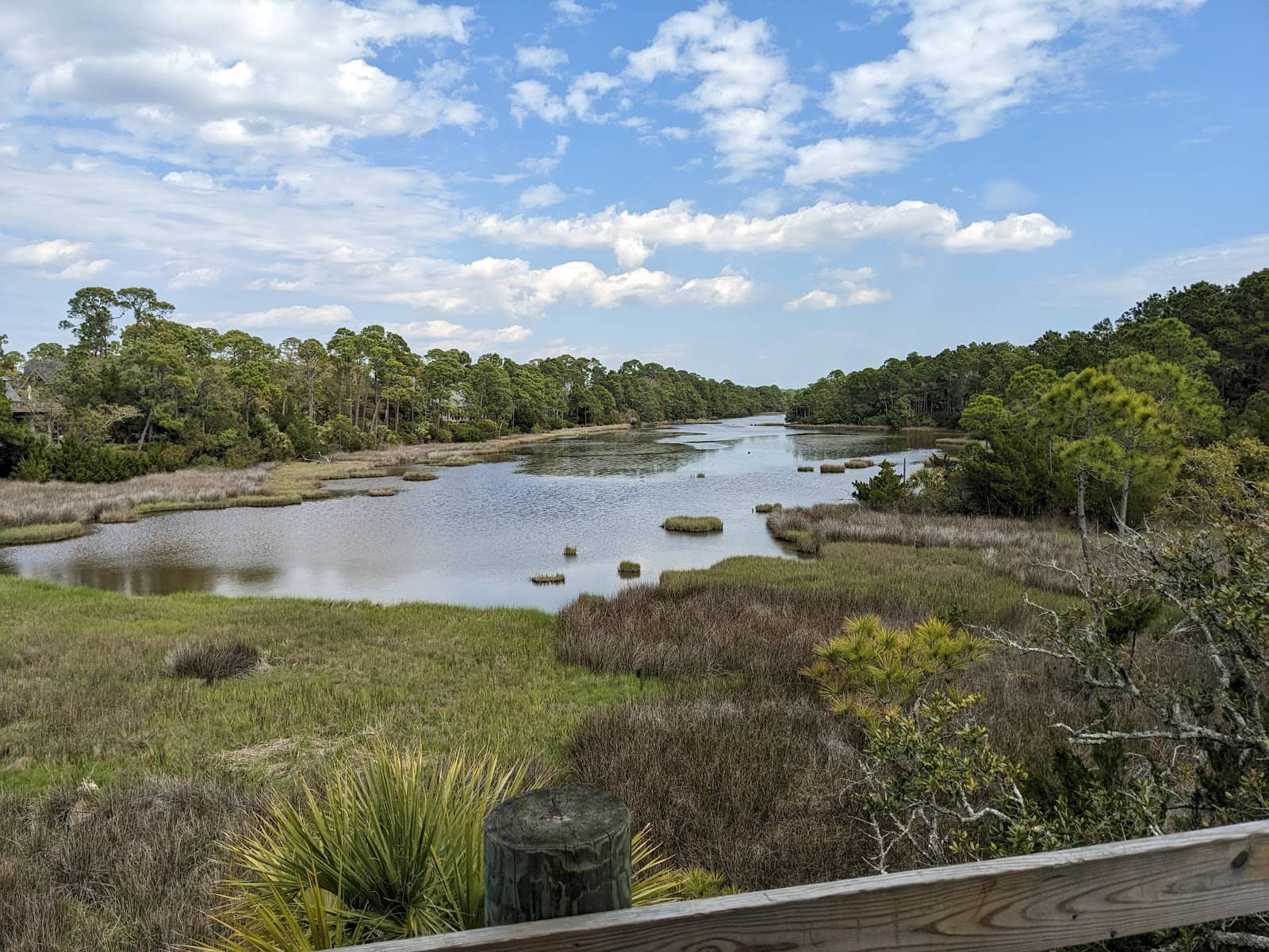 Peaceful Picnic Spot