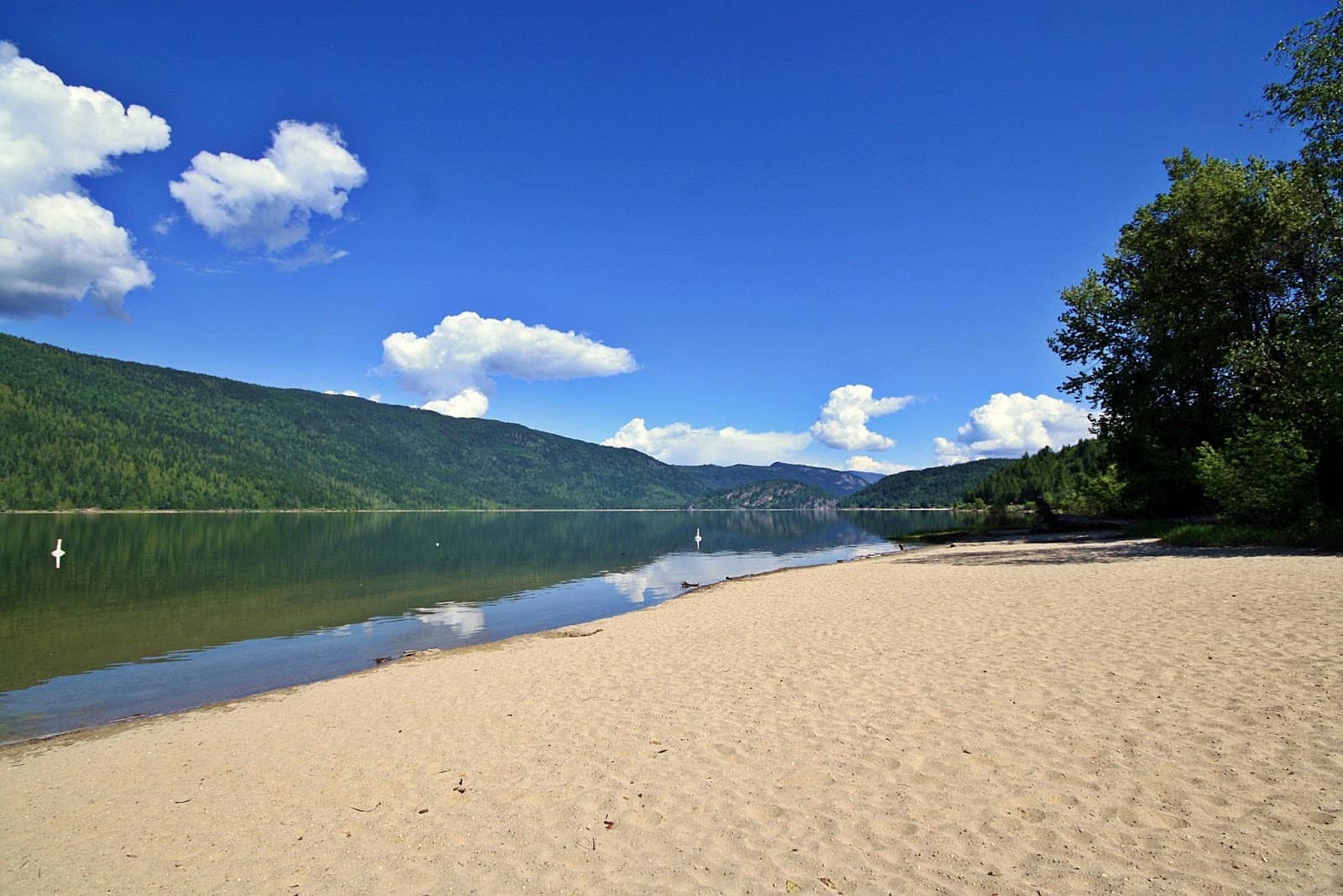 Mara Food Liner Store