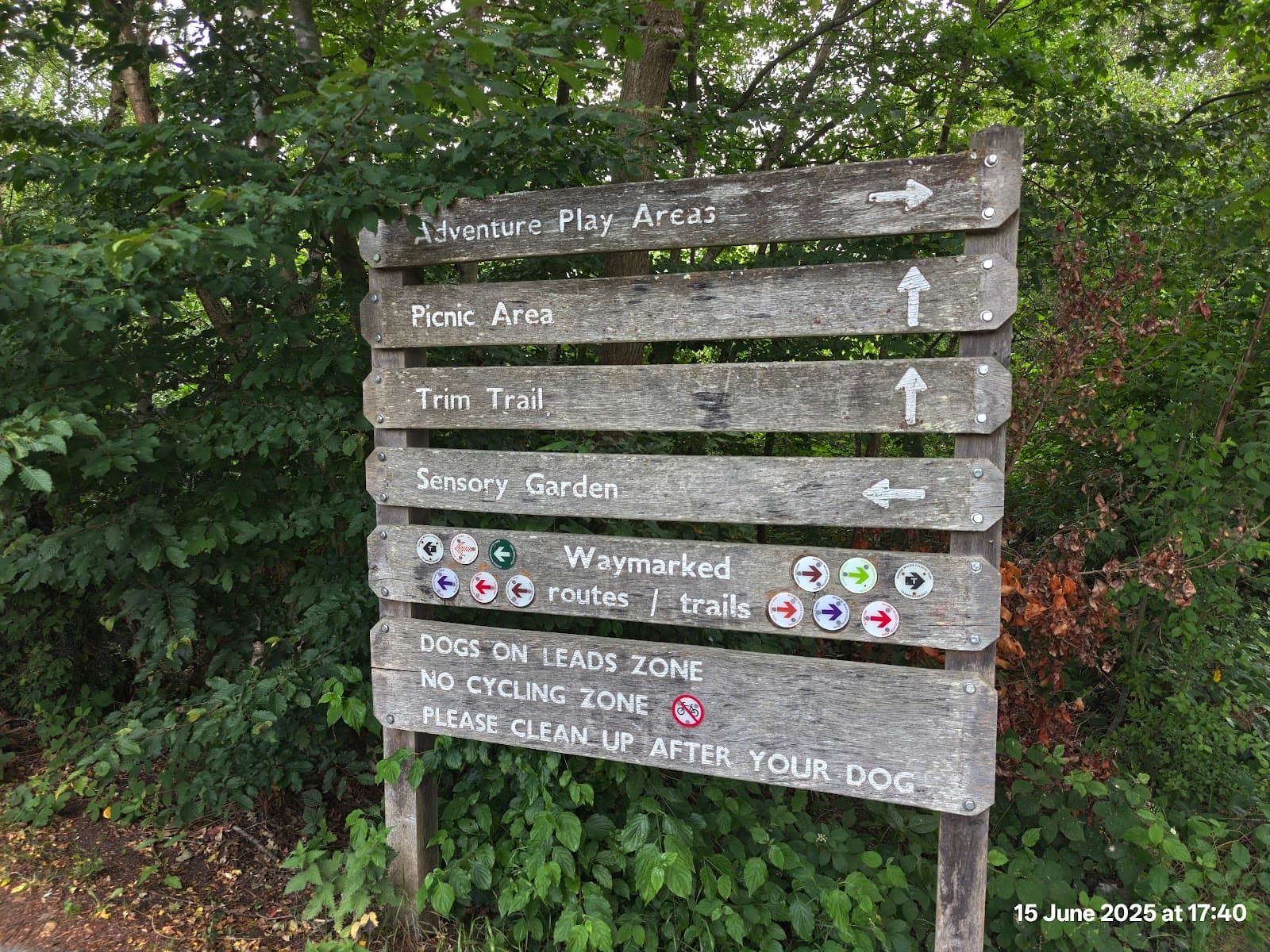 Shorne Woods Country Park - Image 1