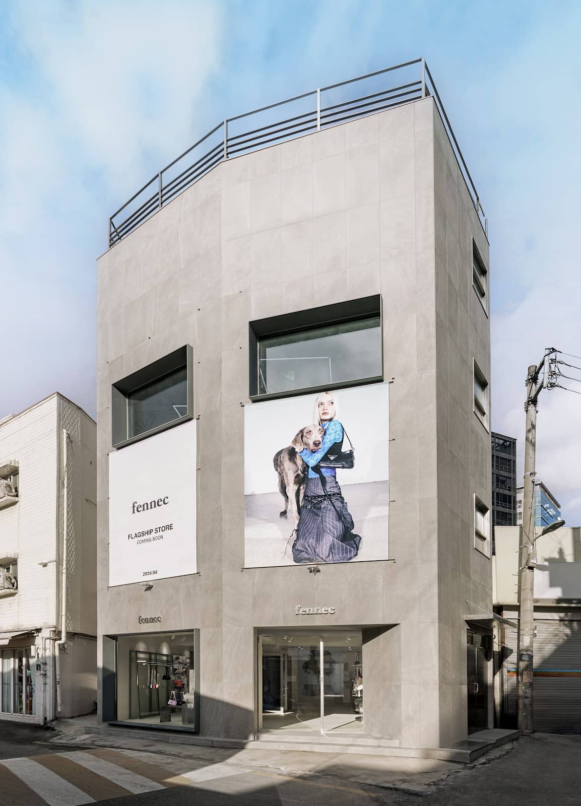 Fennec Fox in Popular Culture