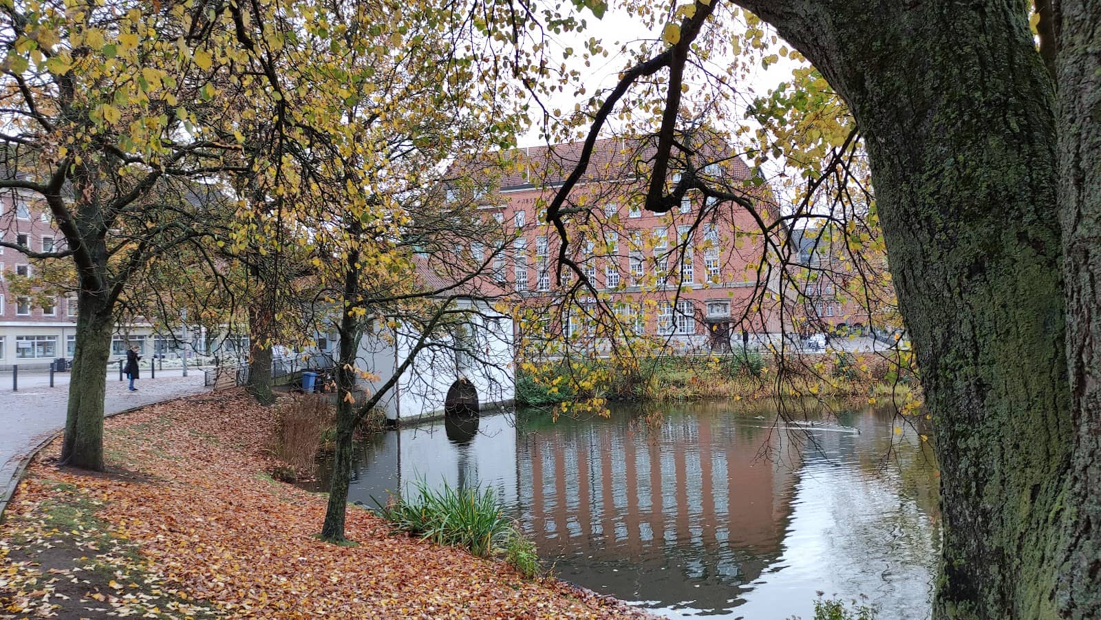 Peaceful Walking Paths