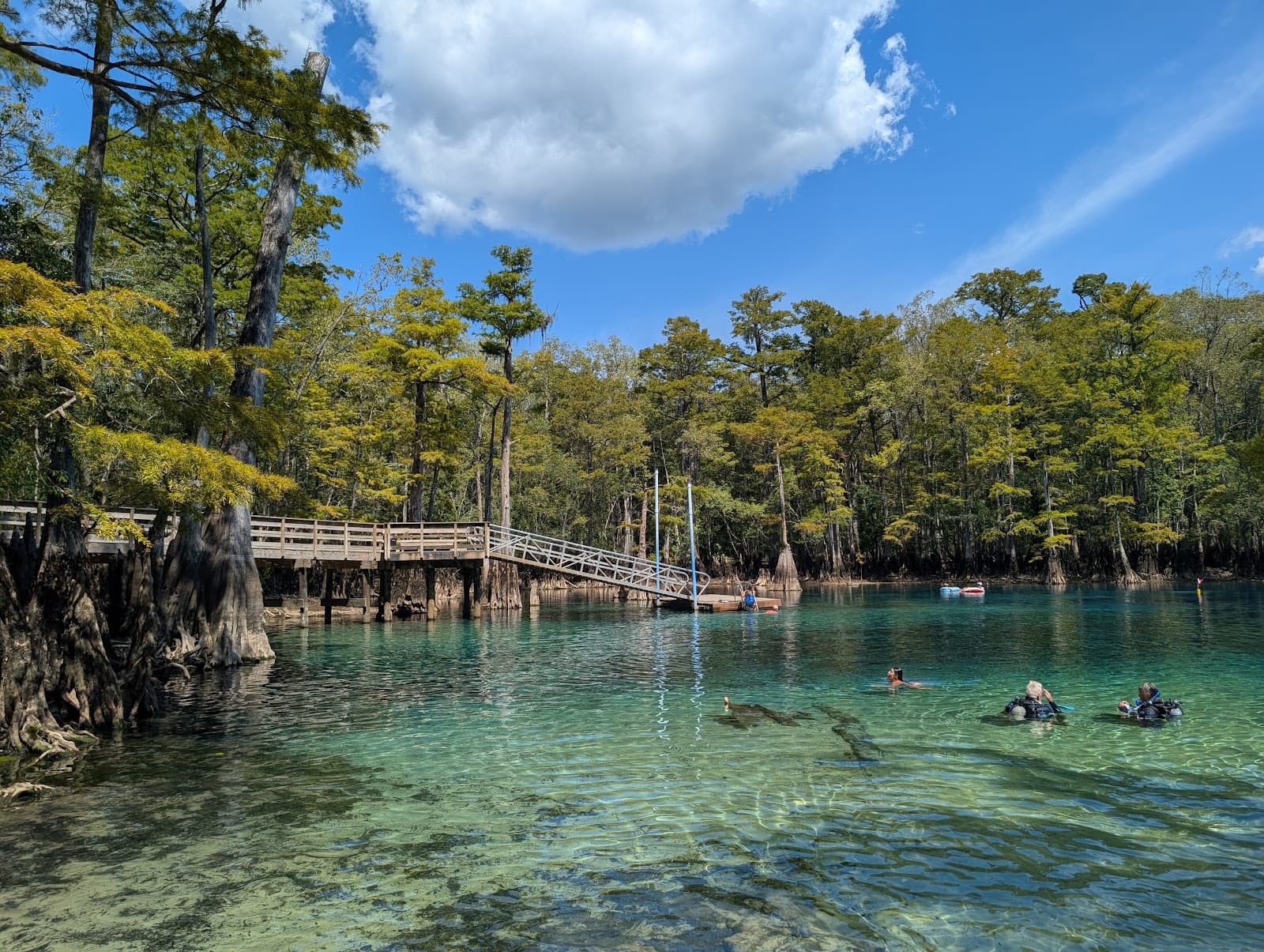 Morrison Springs - Image 1