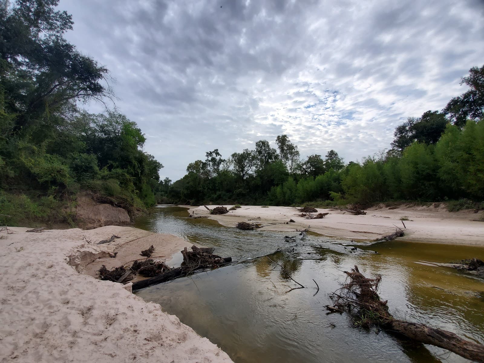 Montgomery County Preserve - Image 1