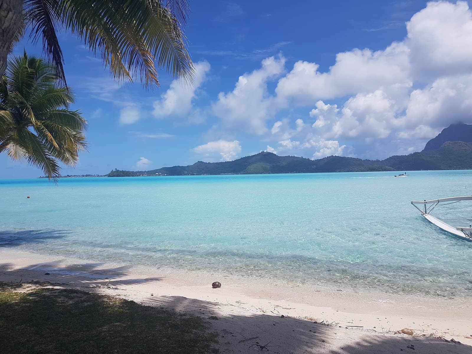 Turquoise Lagoon Views