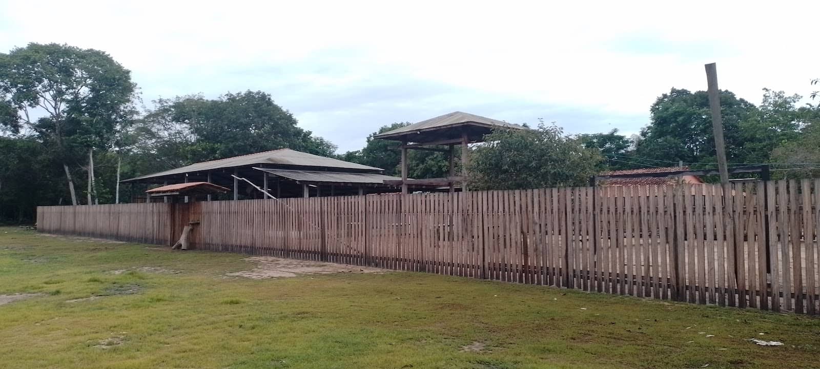 Biodiversity Spotting