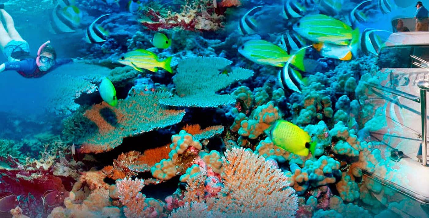 Unique Ocean Perspective