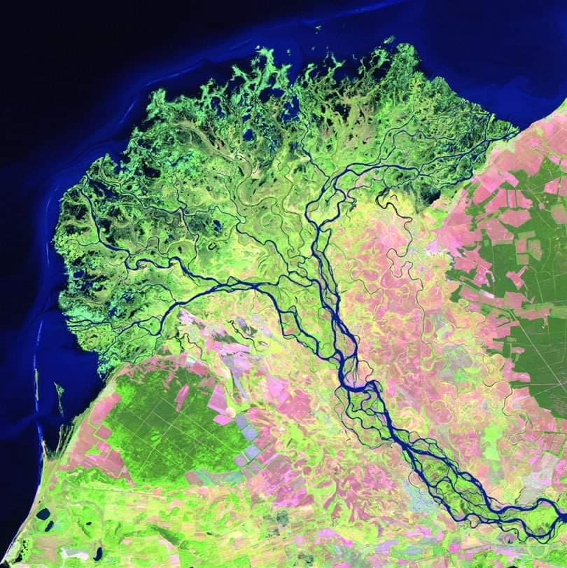 Selenga River Delta (Kabansky) - Image 1