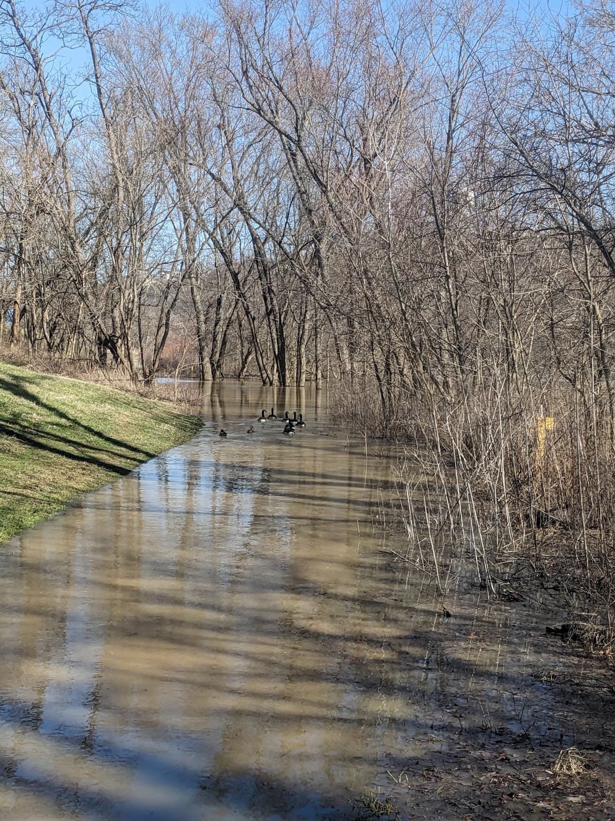 Licking River Greenway & Trails - Image 1
