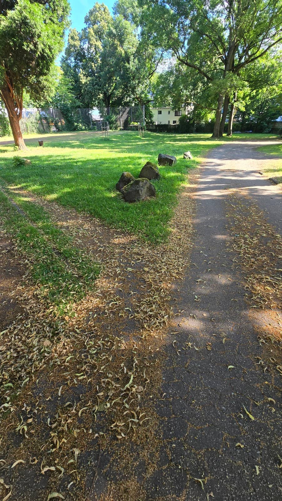 Architectural Details