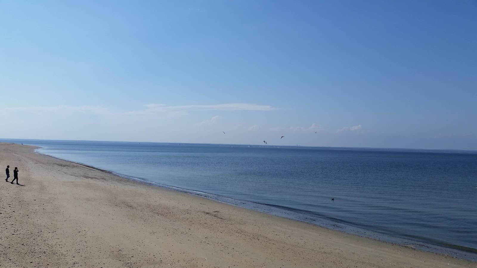 Kid-Friendly Playground