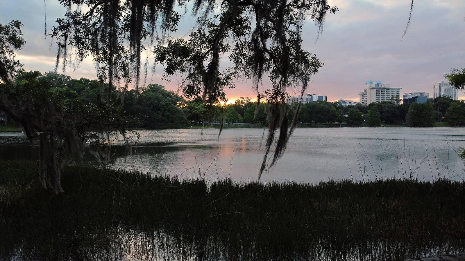 Thornton Park Exploration