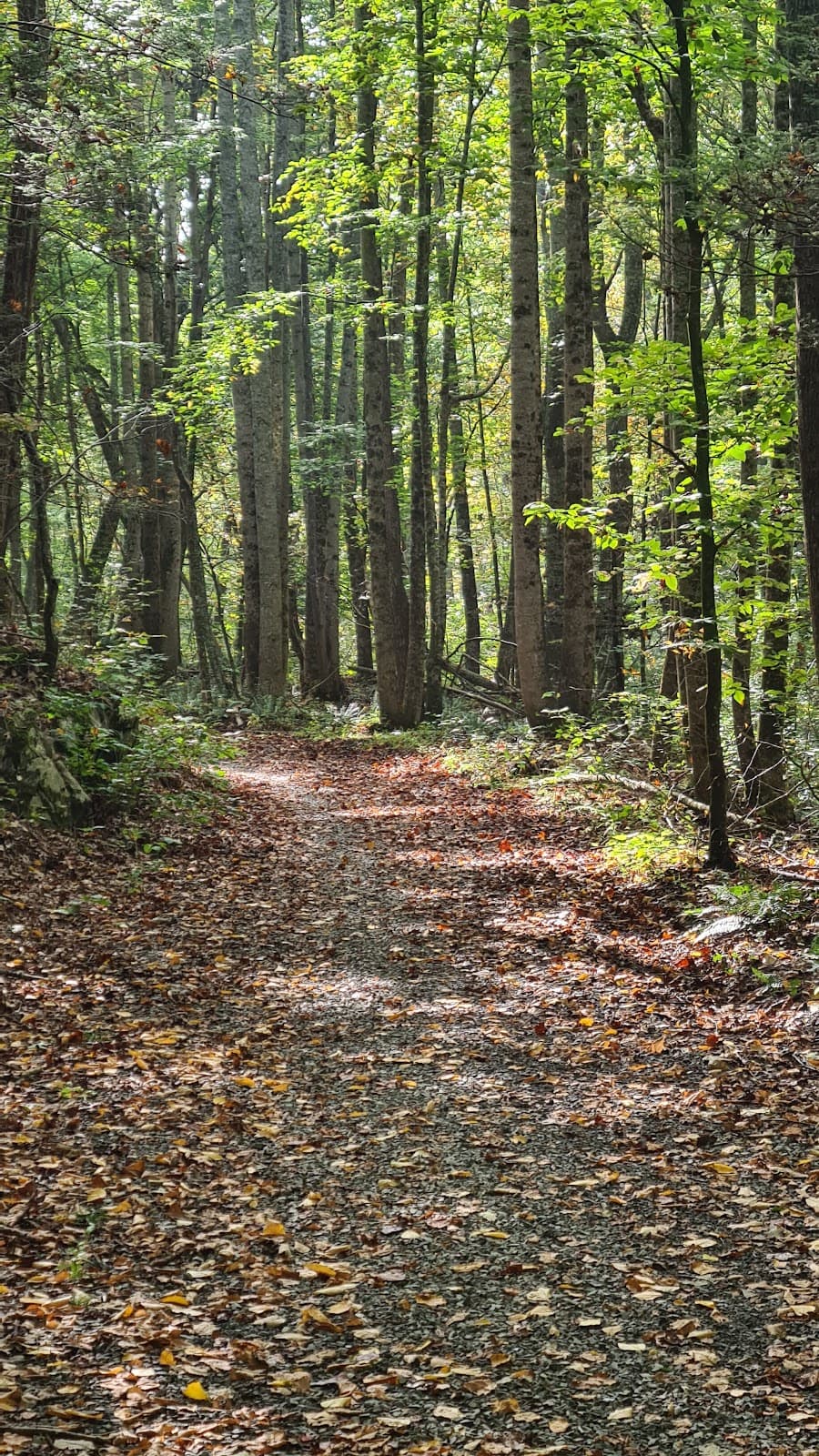 Brush Mountain Park & McDonald Hollow Trails - Image 1