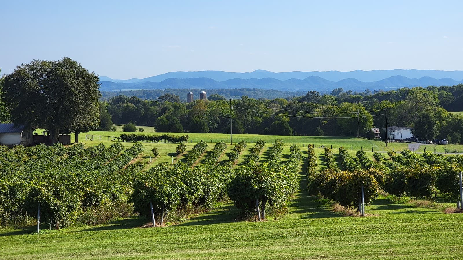Tsali Notch Vineyard - Image 1