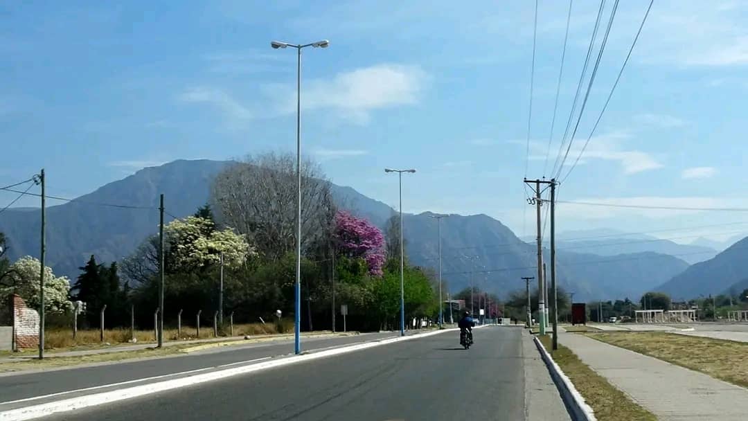 Tranquil Walking Paths