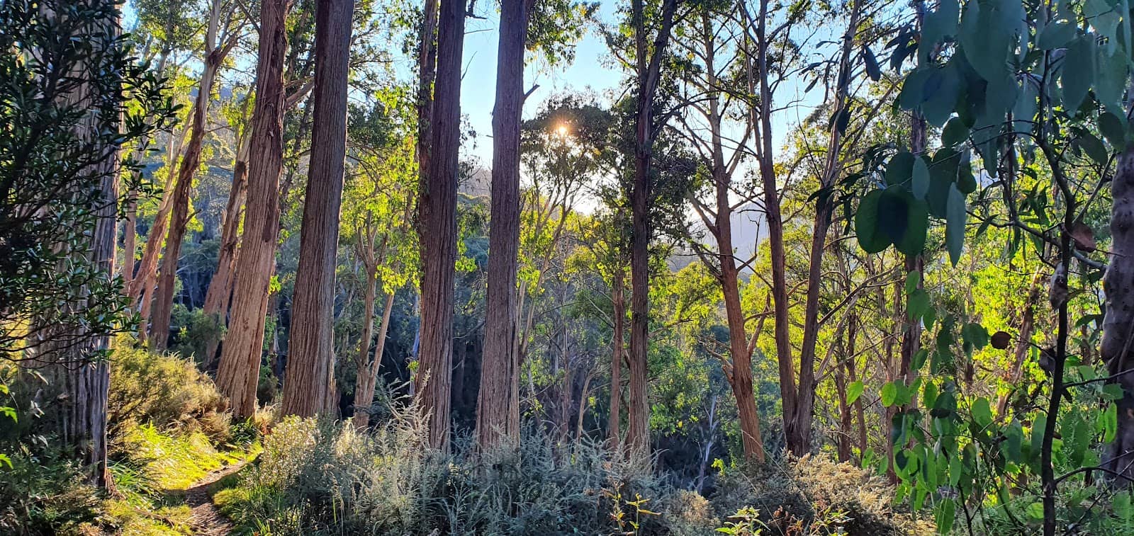 Post-Hike Refreshment Spot