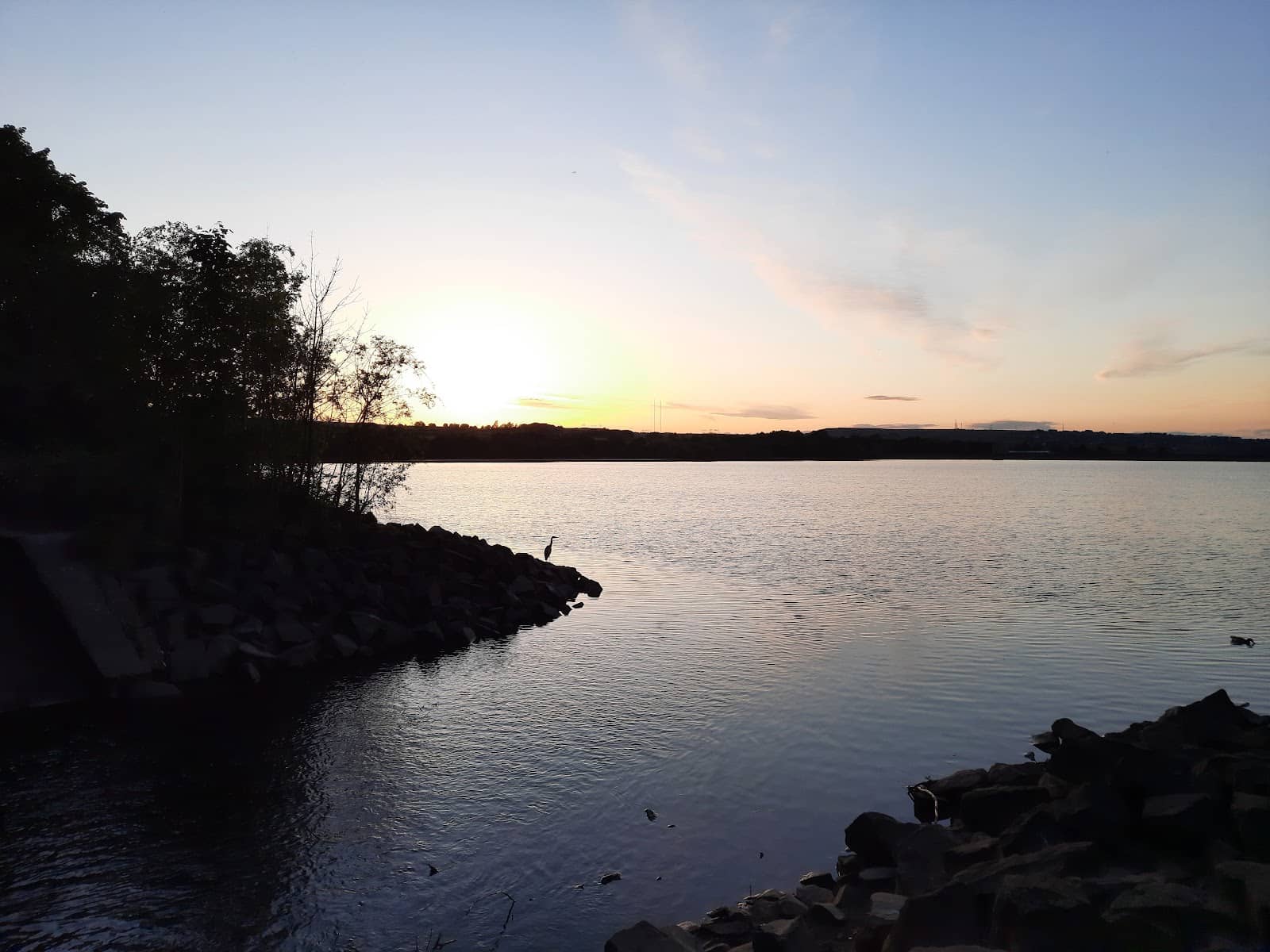 Birdwatching Opportunities