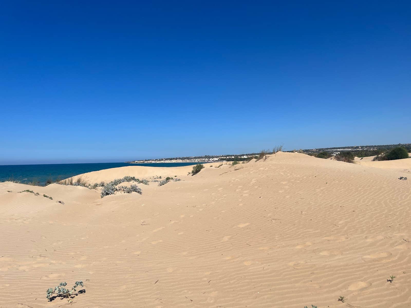 Natural Sand Dunes