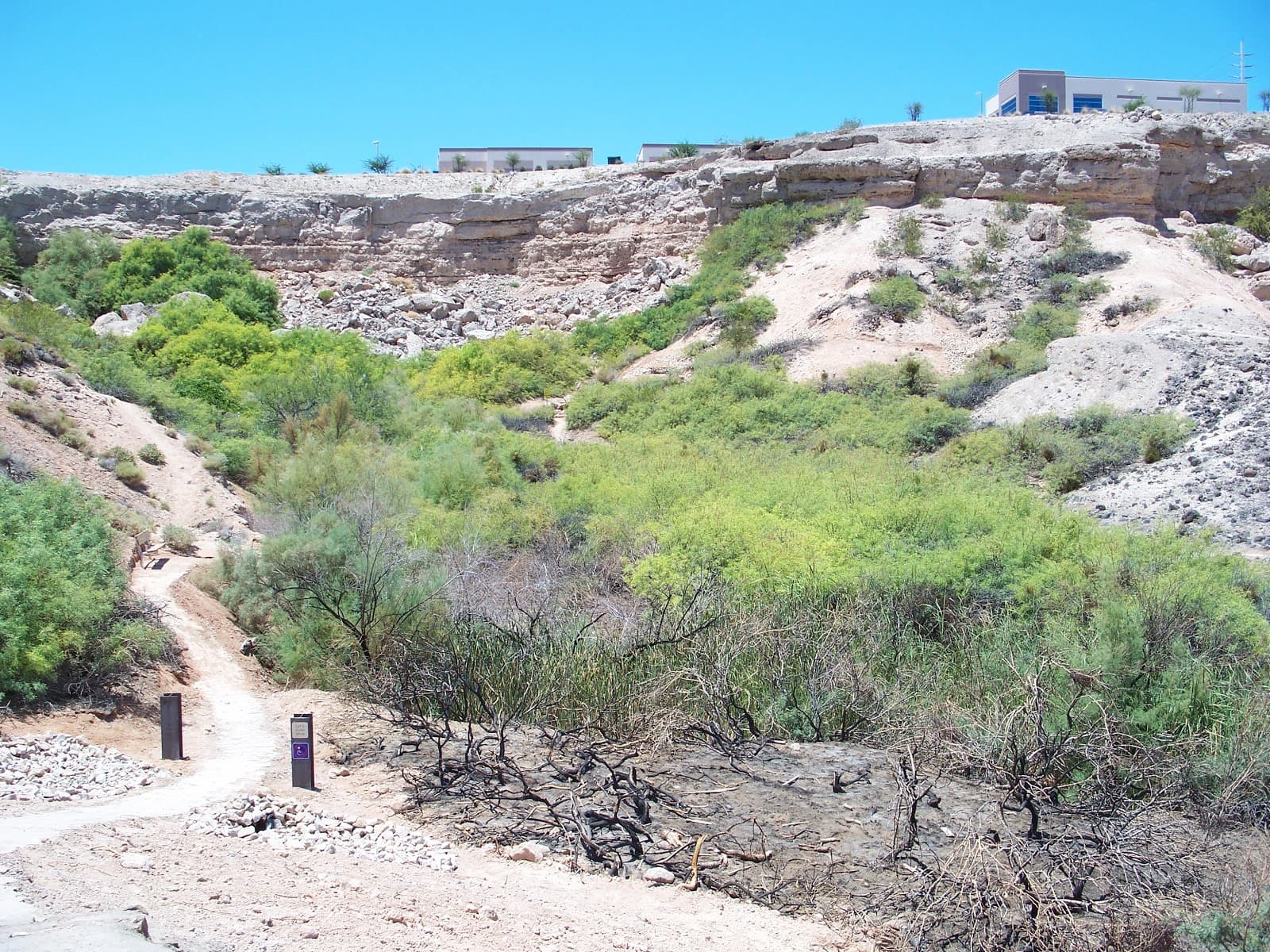 Whitney Mesa Nature Preserve - Image 1