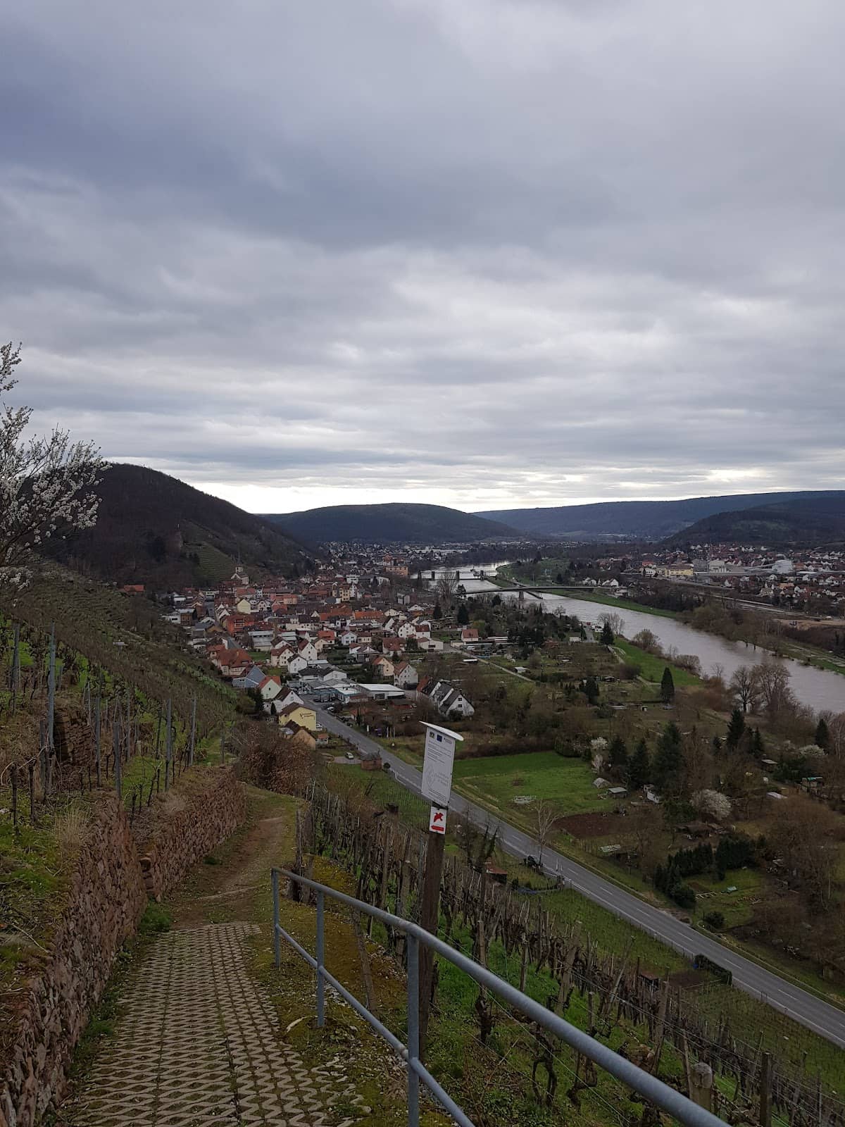 Well-Maintained Hiking Paths