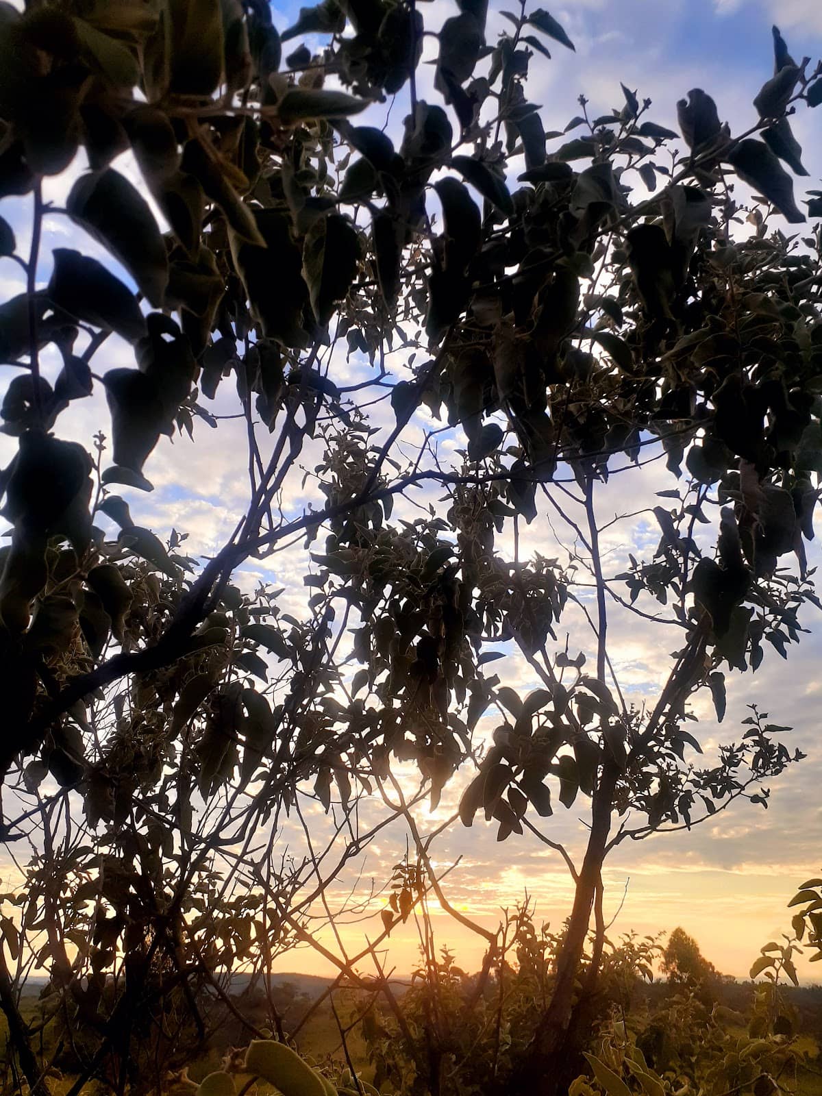 Joaquim Egídio Adventure