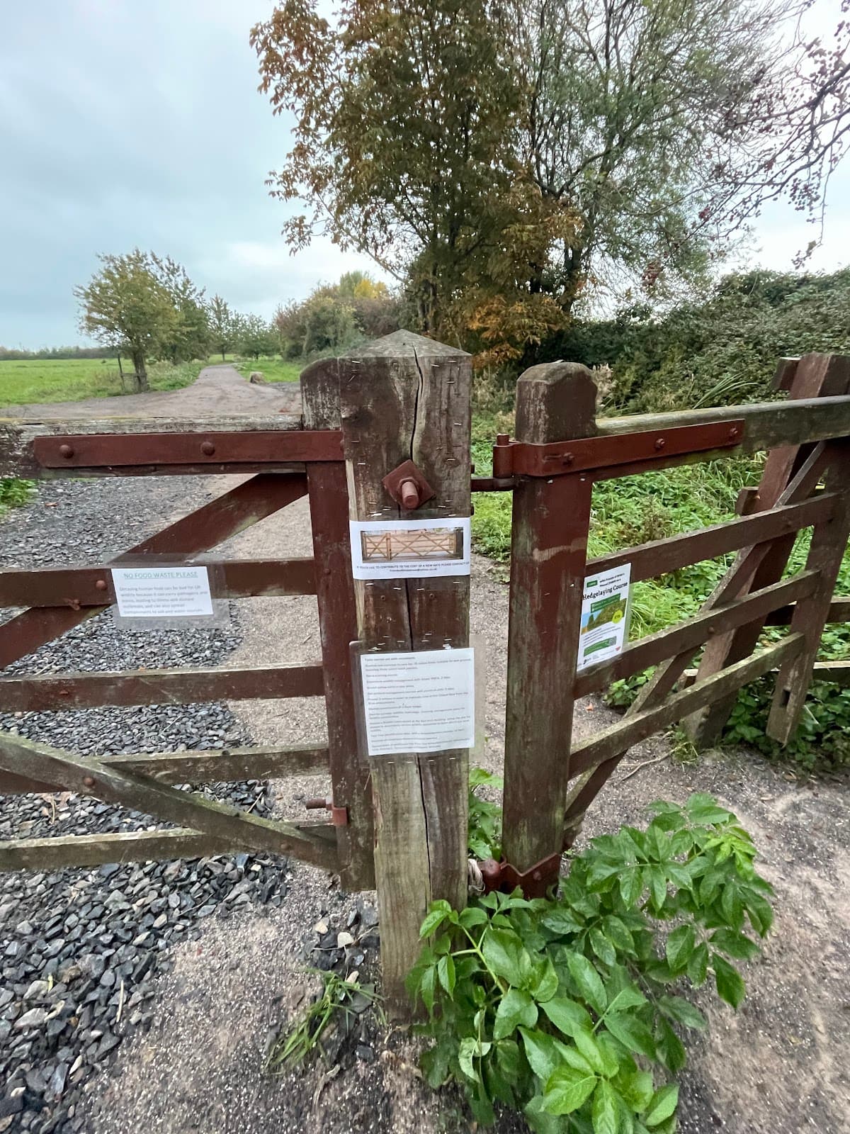 Beckery Old Church Bride's Mound - Image 1