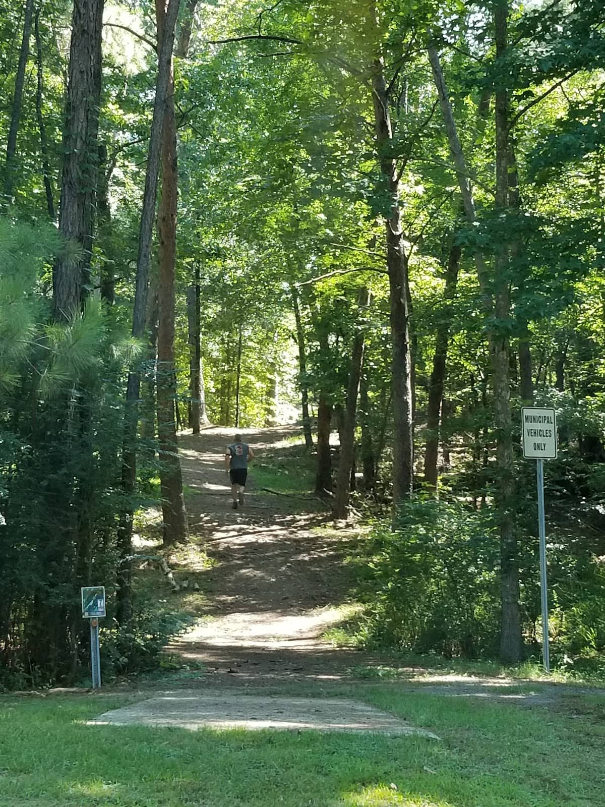 Local Wildlife Spotting