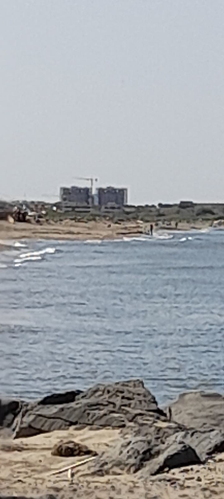 Focene - Image 1